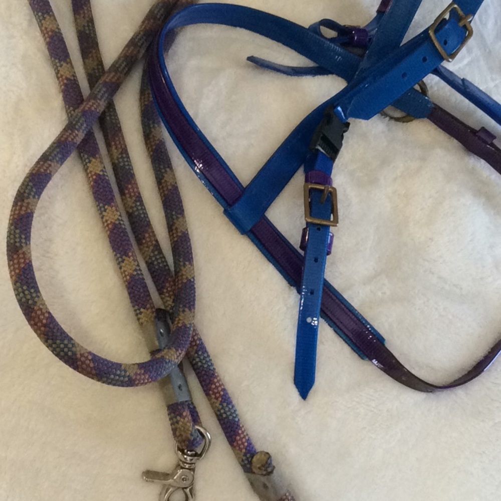 Biothane Bridle and Rope Reins Convertible - Picture 3 of 5